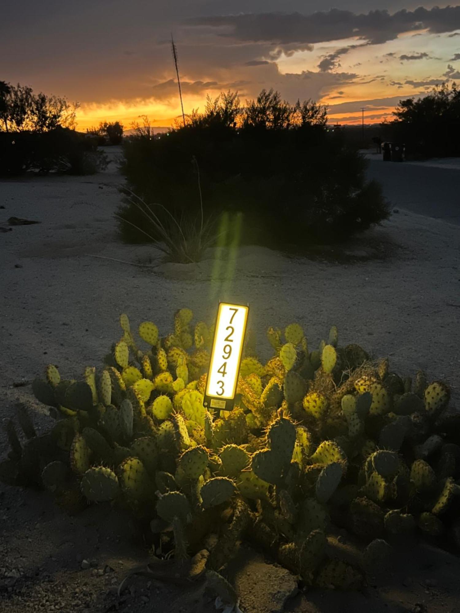Hostel Bodhi House, Joshua Tree National Park Twentynine Palms Exterior foto